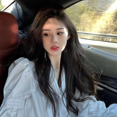 飞燕迎春