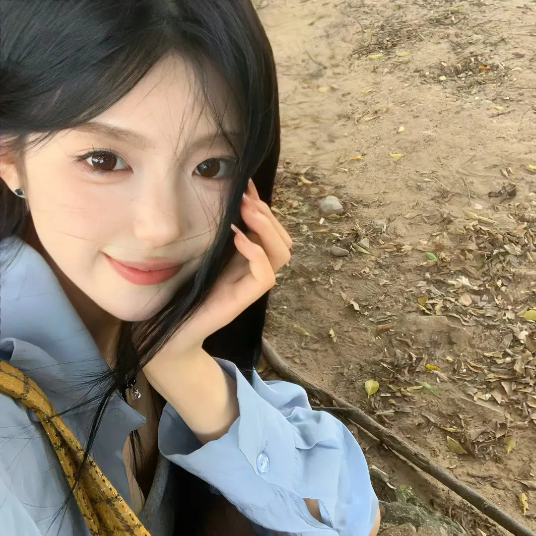 齐姆与友